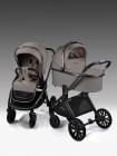 Коляска 2 в 1 Motus Premium Ecco