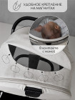 Детская коляска AmaroBaby Motus V2 2в1