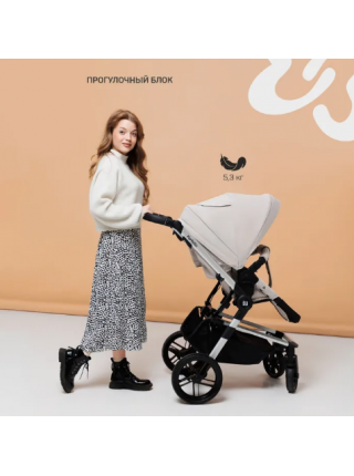 Коляска модульная 3в1 Farfello Zuma Trio Comfort