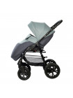 Коляска 2 в 1 Indigo CHARLOTTE Sity 