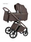 -Коляска 2 в 1 Carrello Vector 6550