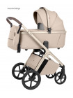 -Коляска 2 в 1 Carrello Vector 6550