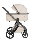 Коляска 2 в 1 Carrello Vector CRL-6552