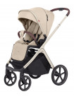 Коляска 2 в 1 CARRELLO Vector  CRL-6550
