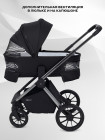 Коляска 2 в 1 Rant Falcon Therm
