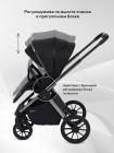 Коляска 2 в 1 Rant Falcon Therm