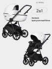 Коляска 2 в 1 Riko Basic Montana Ecco X 