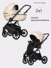 Коляска 2 в 1 Riko Basic Montana Ecco X 