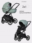 Коляска 2 в 1 Riko Basic Montana Ecco X 