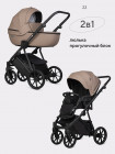 Коляска 2 в 1 Riko Basic Montana Ecco X 