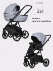 Коляска 2 в 1 Riko Basic Montana Ecco X 