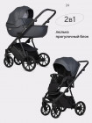 Коляска 2 в 1 Riko Basic Montana Ecco X 