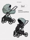 Коляска 2 в 1 Riko Basic Montana Plus