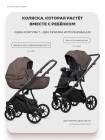 Коляска 2 в 1 Riko Basic Montana X 53