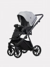 Коляска 2 в 1 Riko Basic Montana X 53