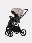 Коляска 2 в 1 Riko Basic Montana X 53