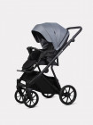 Коляска 2 в 1 Riko Basic Montana X 53