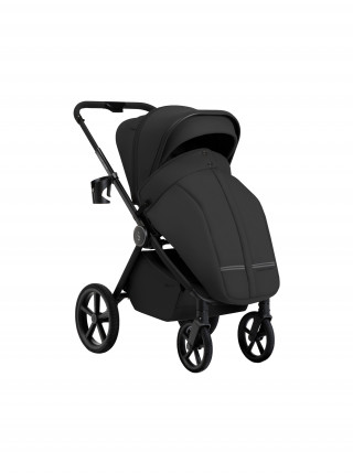 Коляска 2в1 SBL Elegante Therma (Colore)