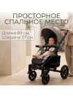 Коляска BubaGo Model One