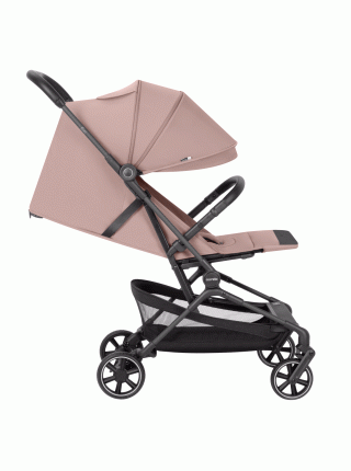 -Прогулочная коляска CARRELLO Evo CRL-5533