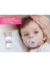 ПУСТЫШКА СИЛИКОНОВАЯ SCANDI ОТ ROXY-KIDS, 2 ШТ, В КОНТЕЙНЕРЕ, 0-6 МЕС